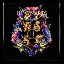 Hogwarts - Die Zeit danach Icon