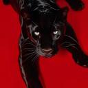 Quechua #BAŞLANGIÇ Icon