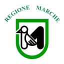 Marche Icon