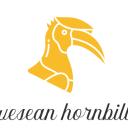 Wesean Hornbills Icon