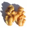 Stormingbrains.de Icon