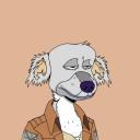 Robinzockt server Icon