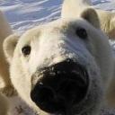 Убежище 89 Icon