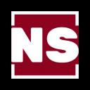 NS Development Icon