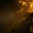 Holiday PMV Streams Icon