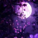 The Dragon's Den Icon