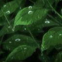 Mysty Vibes 🌿 Icon