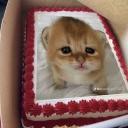 Tork: confliction Icon