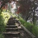 ╰╮   ╰↠  ᵐᵉᵒʷᵗᵒᵖⁱᵃ  ᓚᘏᗢ Icon