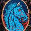 Denver Social Club Icon