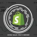 Ecom Sales Pro's Server Icon