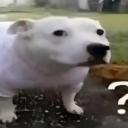 Blox fruits da resenha Icon