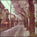 ✨•Kpop Village•✨ Icon