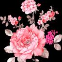 Flower of Darkness Icon