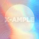 X-Ample Development Icon
