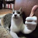 Val's Super Awesome Funhouse Icon