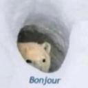 Hibernation Den Icon