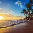 ♡ The chill server ♡ Icon