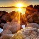 The Furry Suite Icon