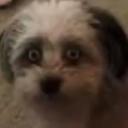 Home of topics and laughter Icon