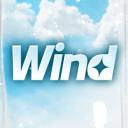 WIND Icon