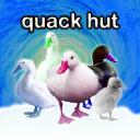 Quack Hut Icon