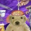 ₛₗₒbbₑᵣᵥᵢₗₗₑ cₑₙₜᵣₐₗₗ Icon