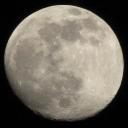 Moon ● Socialize ● Yap ● Roast Icon