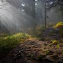 Misantropie - Filosofie zítřka Icon