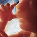 Pro-Life Hangouts Icon