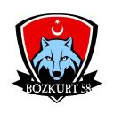 BOZKURT 58 Icon