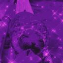 Purple Seal Club Icon