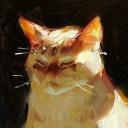 the little dorf Icon