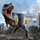 survive & thrive Icon