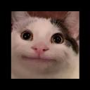 Bugulaz van vlub Icon