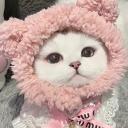 羽羽’s cult Icon