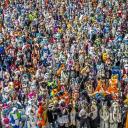 Furry Fandom Community Icon