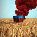 PUBG mobile Algeria DZ Icon