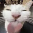 Miles ultra block Icon