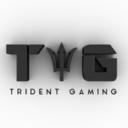 тяιdєηт-gaming Icon