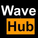 Wave Icon