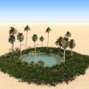 Oasis Icon