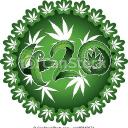 medical cannabis and more Icon