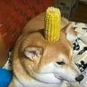 Jeff's corny corn world Icon