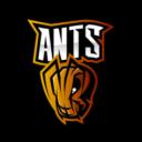 FORMIGUEIRO GERAL Icon