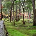 wild sanctuary!! Icon