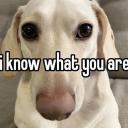 the banished folk Icon