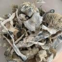 ketaminepsychedelic Icon