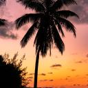 Investors & Beginning Businesses Icon