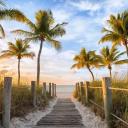 🌴☀ Florida 😎🏄 Icon